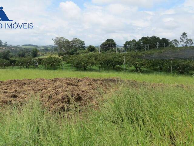 Área para Venda em Guararema - 4