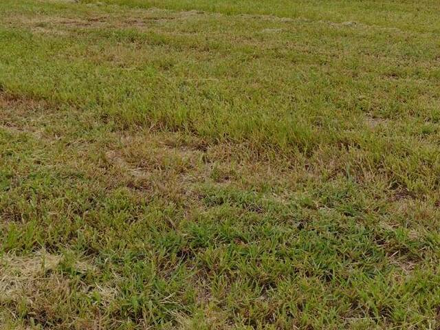 #581 - Terreno em condomínio para Venda em São Paulo - SP - 3