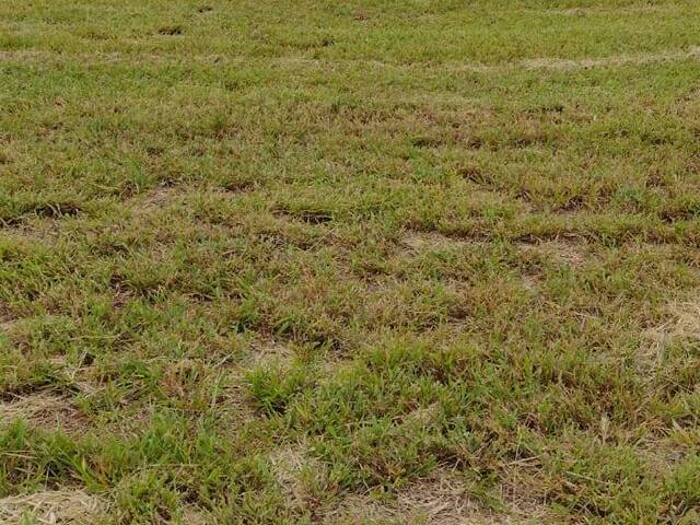 #581 - Terreno em condomínio para Venda em São Paulo - SP - 2