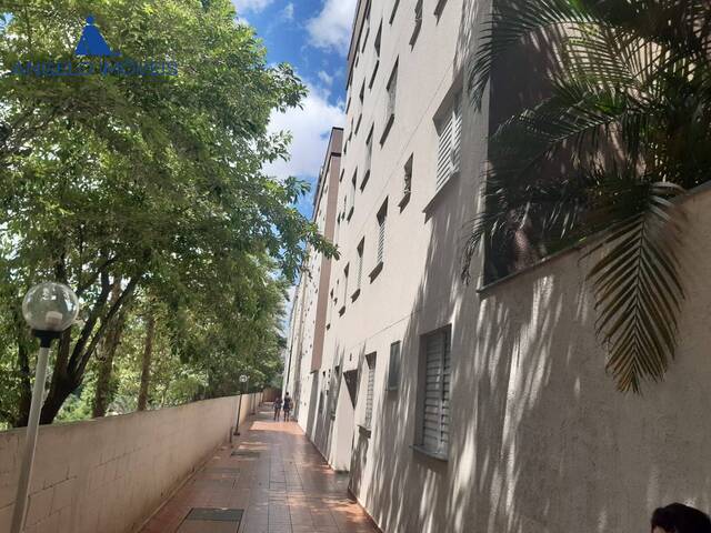 #14099A - Apartamento para Venda em São Paulo - SP - 1