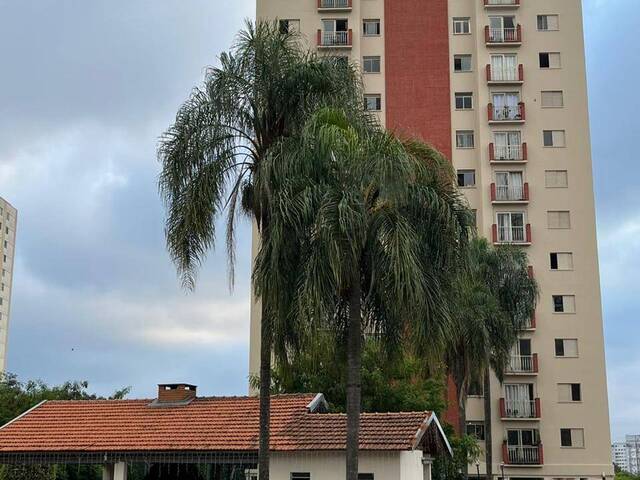 #14166 - Apartamento para Venda em São Paulo - SP