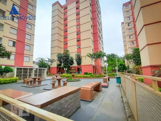 Locação em Jardim Colonial - São Paulo